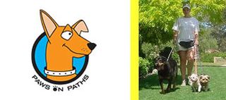 Q: Dog barking and chasing cars, bikes etc